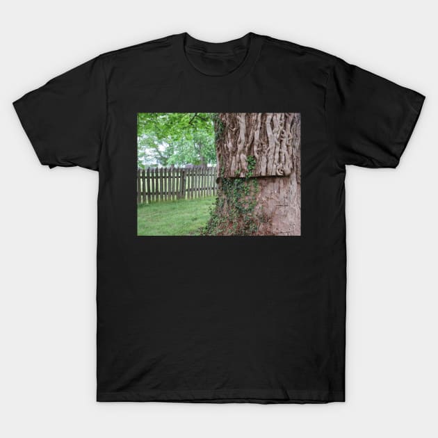 A tree and a fence T-Shirt by ToniaDelozier